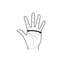 Rękawice Neilpryde Amara Glove Krótkie